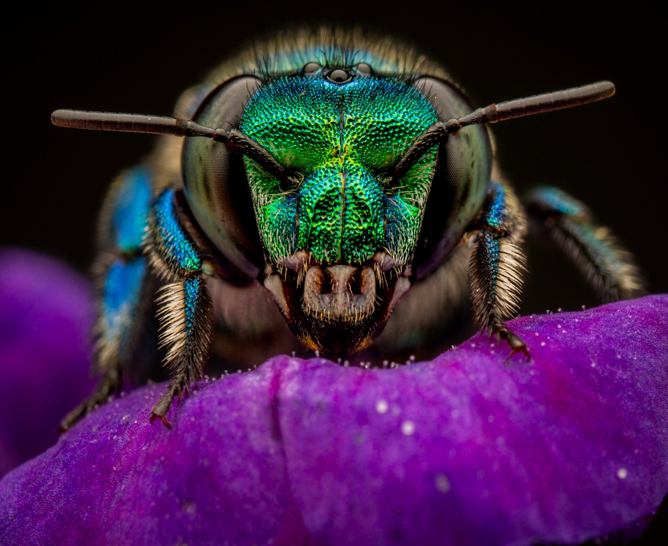47_b86047