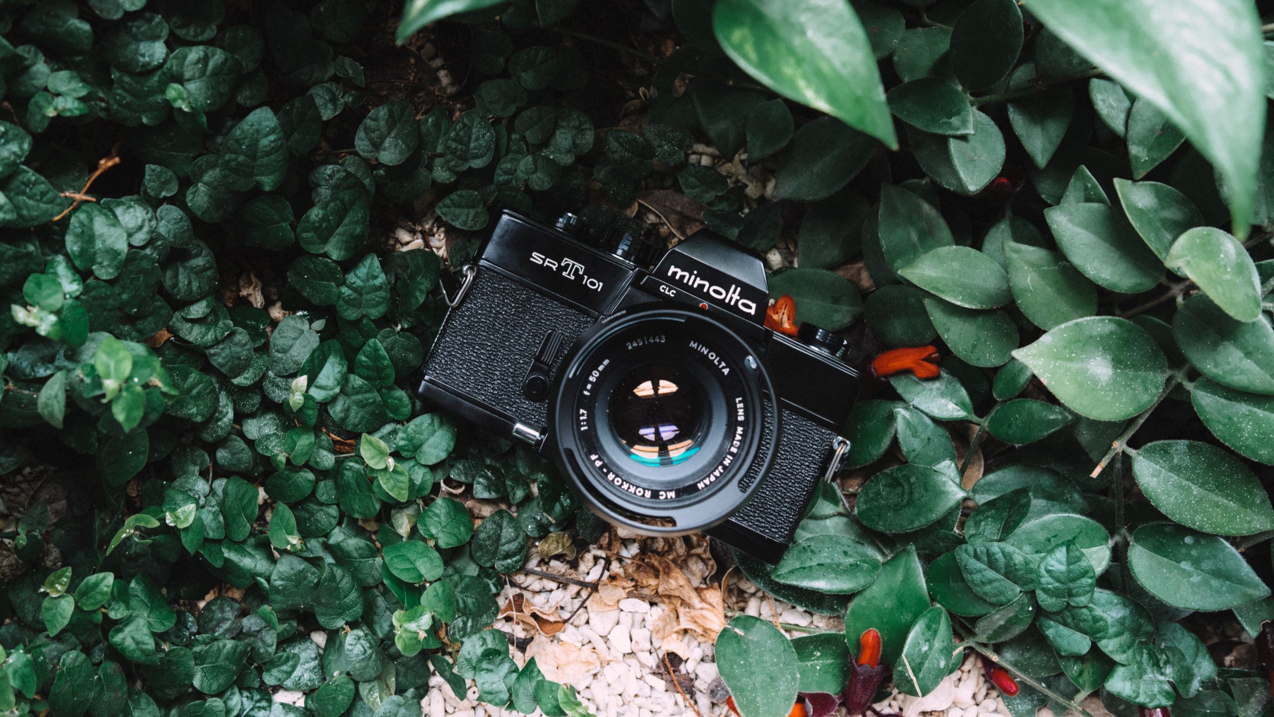 daniel-tseng-8KrtvVNCWxc-unsplash-scaled
