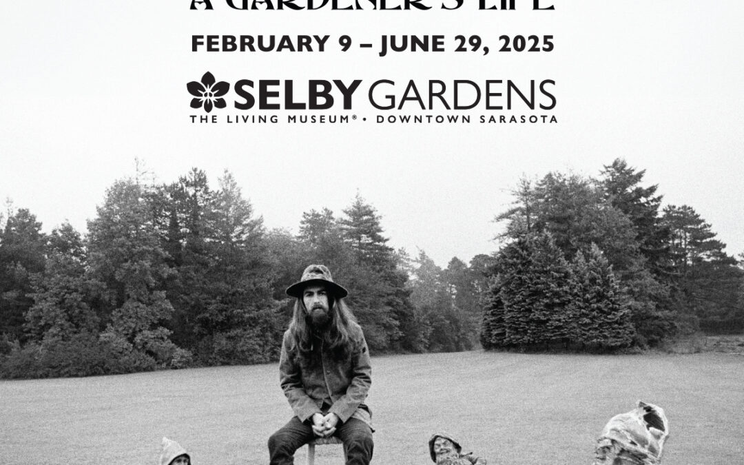 SELBY GARDENS ANNOUNCES 2025 JEAN & ALFRED GOLDSTEIN EXHIBITION