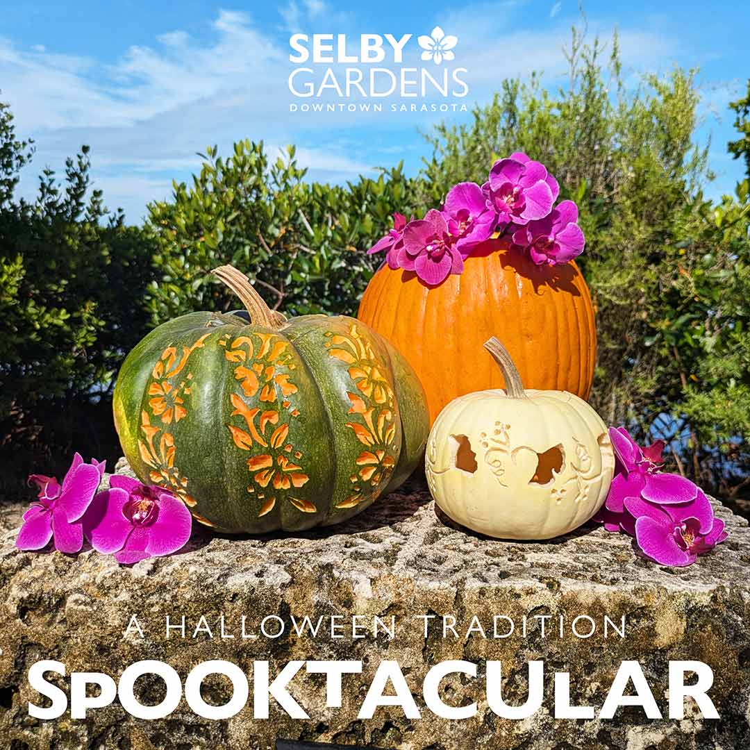 SPOOKTACULAR2024-SOCIAL